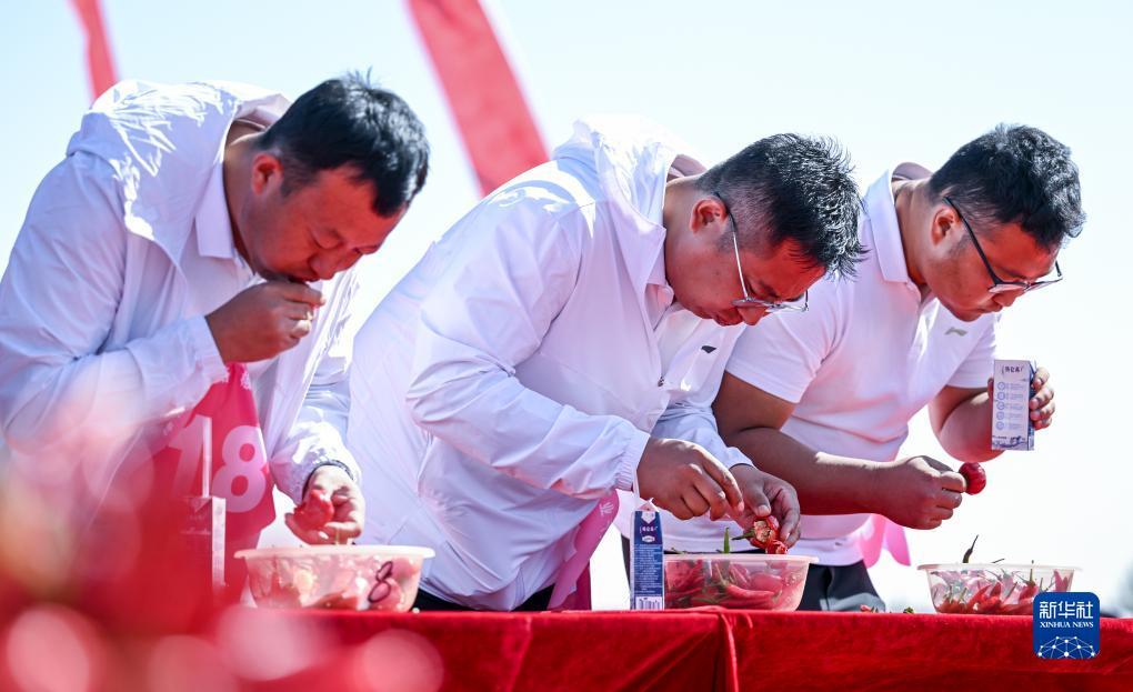 至棒娱乐